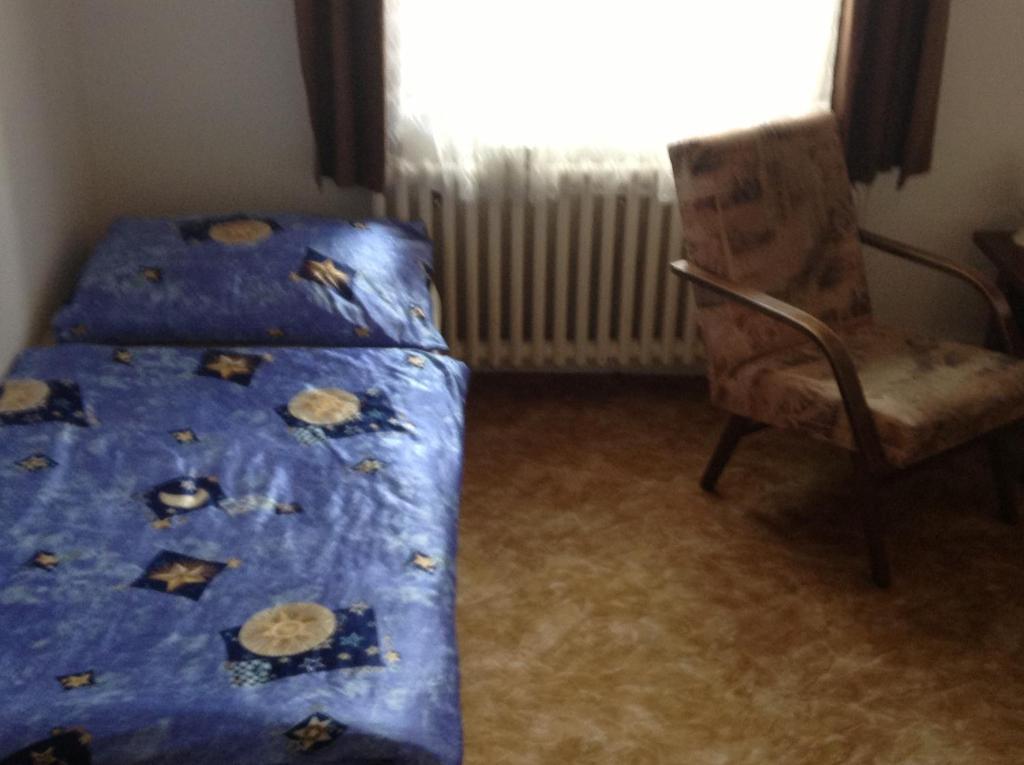 At Pension Ceske Budejovice Værelse billede