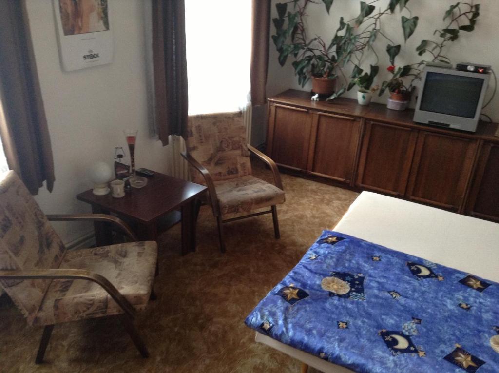At Pension Ceske Budejovice Værelse billede